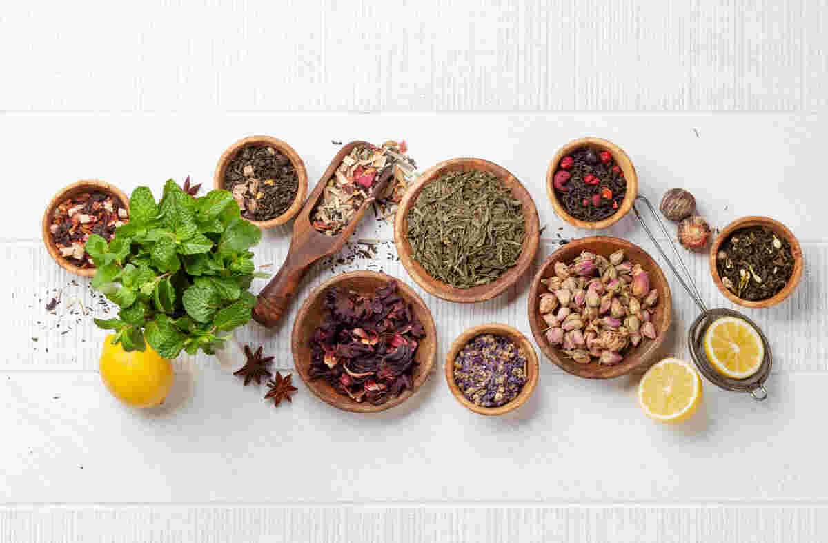 From Fragmentation to Wholeness: Why Traditional Medicine Matters Today