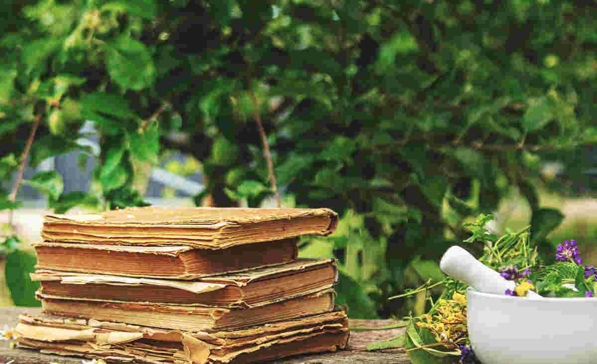 Debunking Popular Myths About Ayurveda: A Fact-Check Perspective